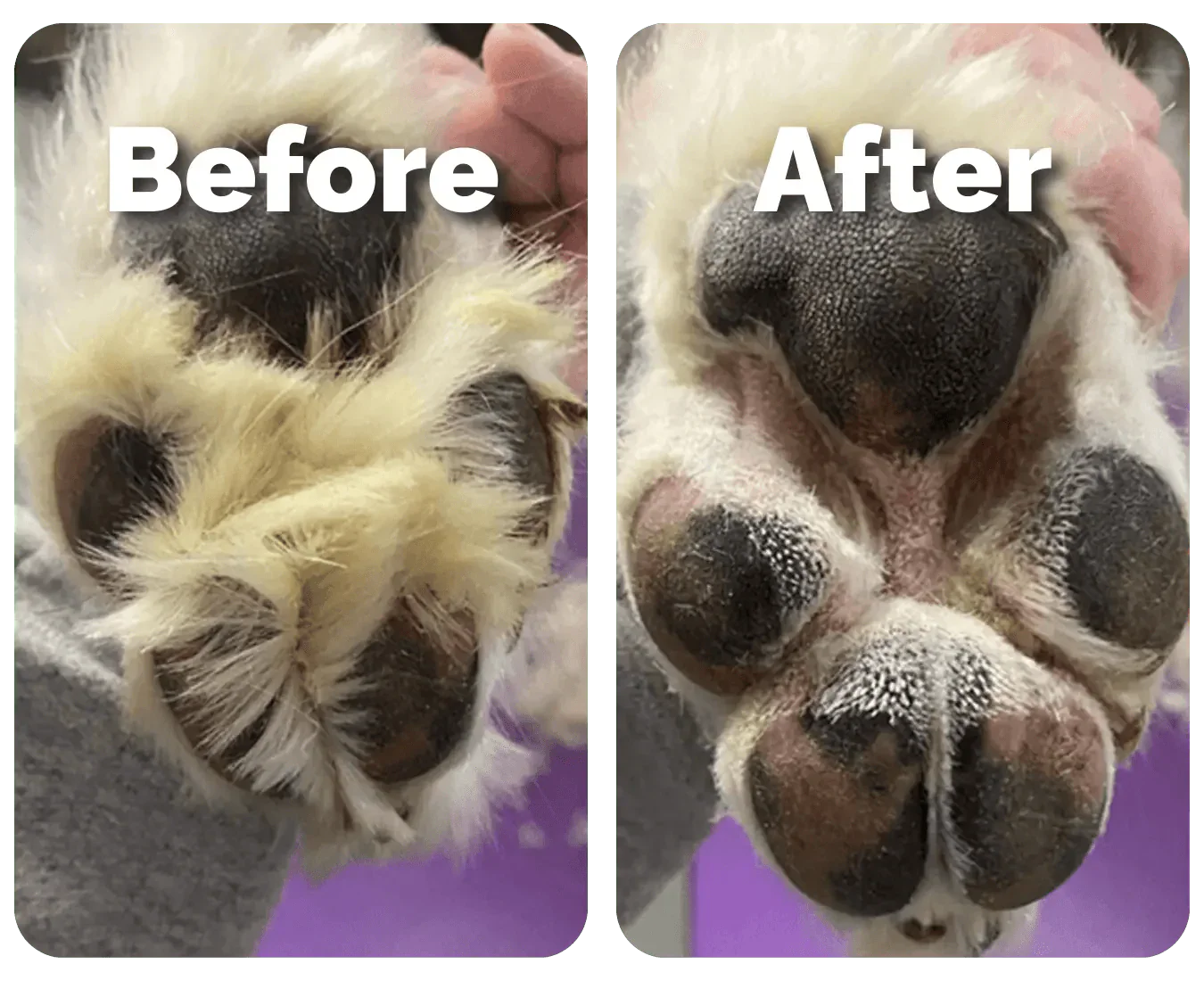 FurEase - Pet Hair Trimmer