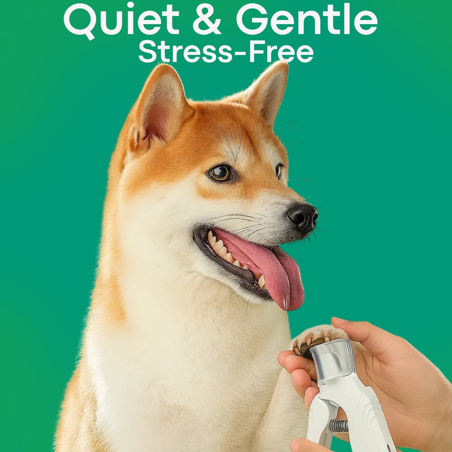 GentlePaw Nail Care