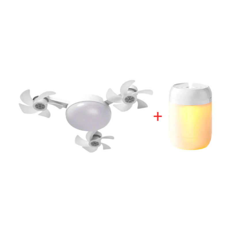 Modern LED Ceiling Fan Light