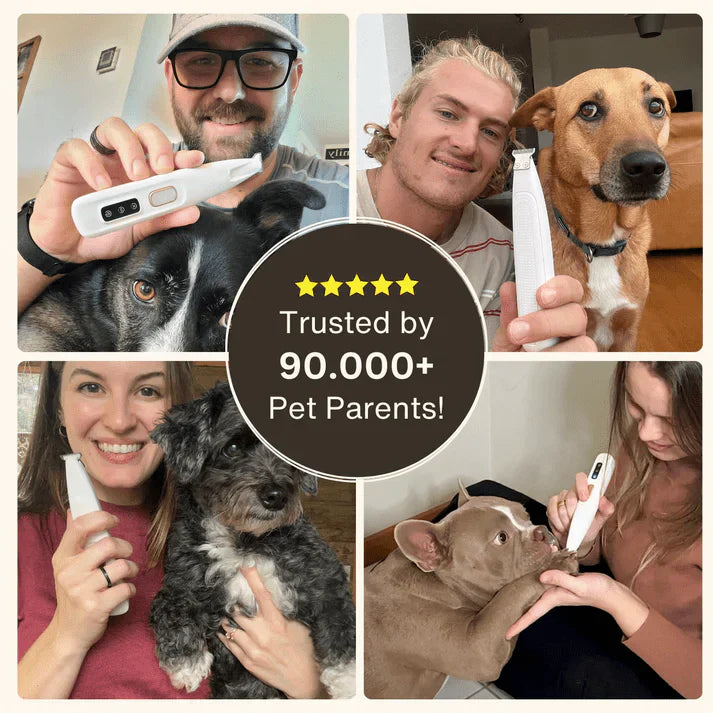 FurEase - Pet Hair Trimmer