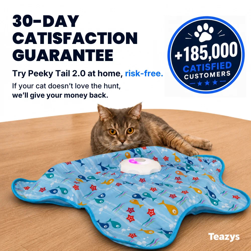Peeky Tail 2.0 Cat Toy