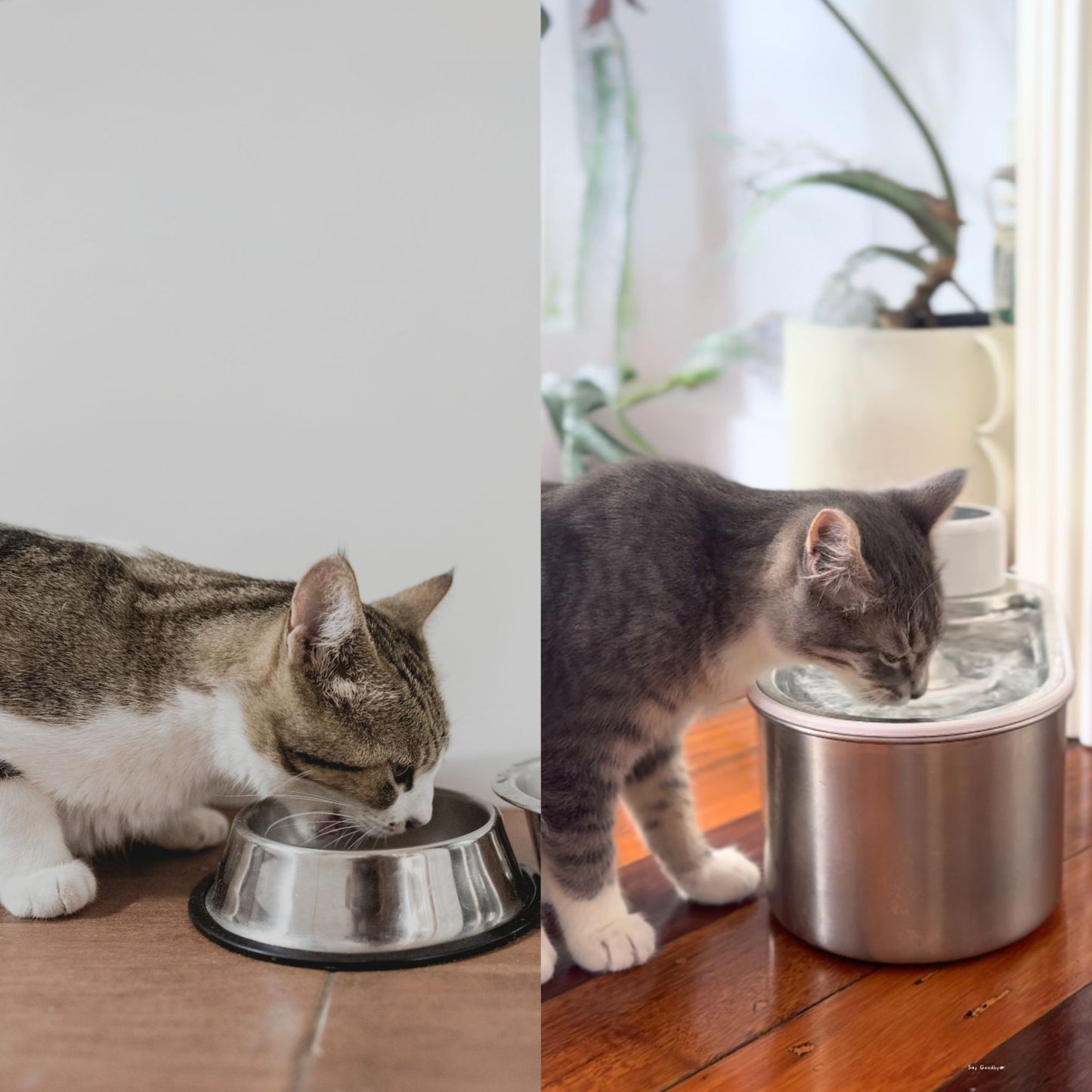 Meowtain Flow Water Bowl