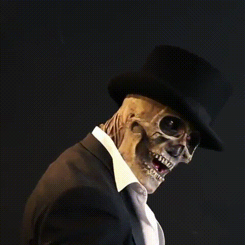 BioSkull Terror Mask