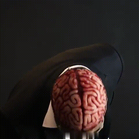 BioSkull Terror Mask