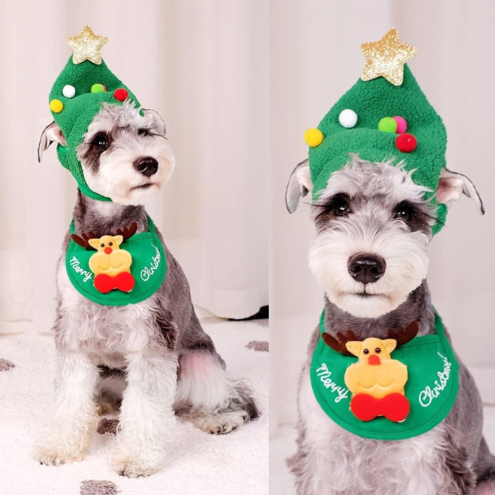 MerryPaws Holiday Hat + Bib Set