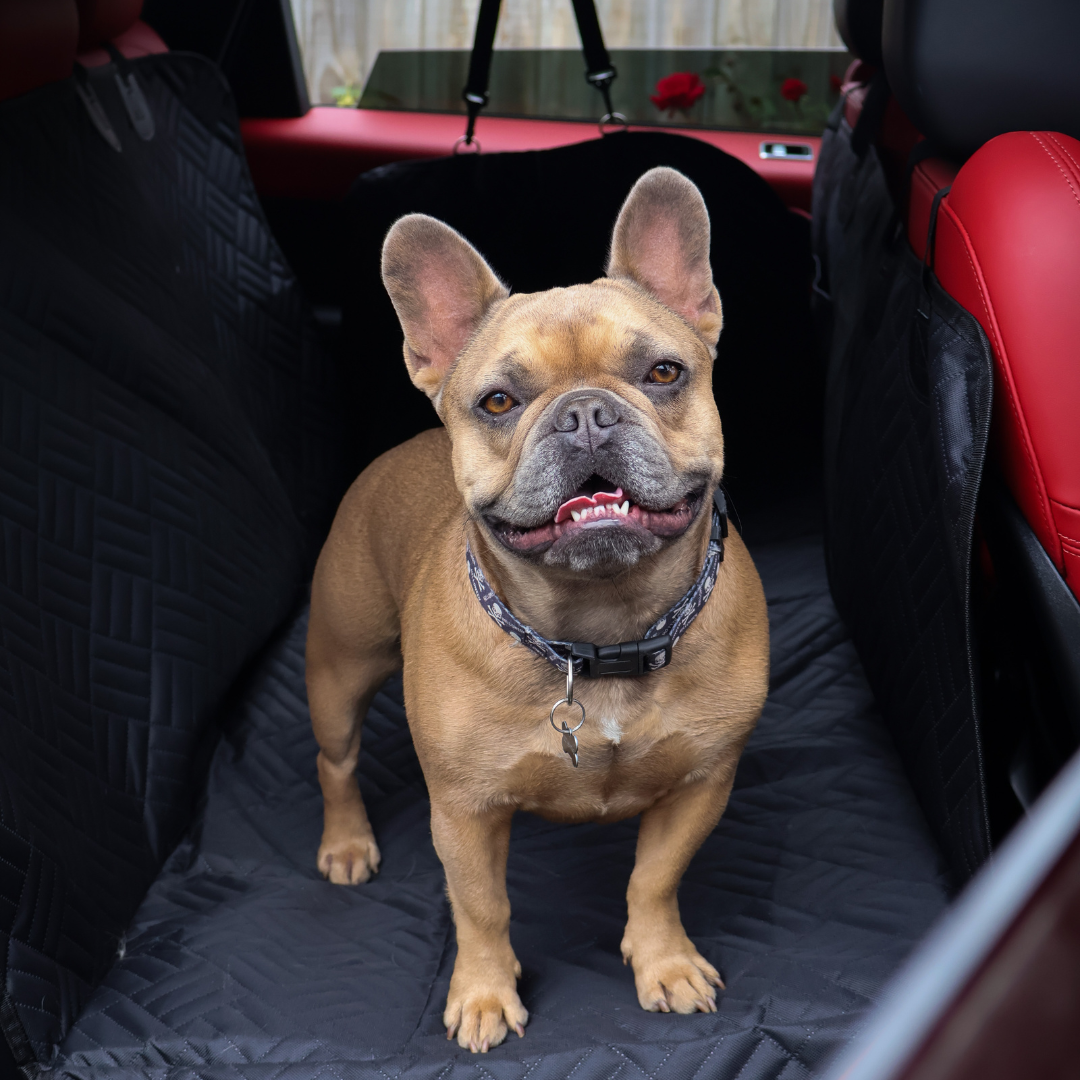 Pet Seat Cover Protector