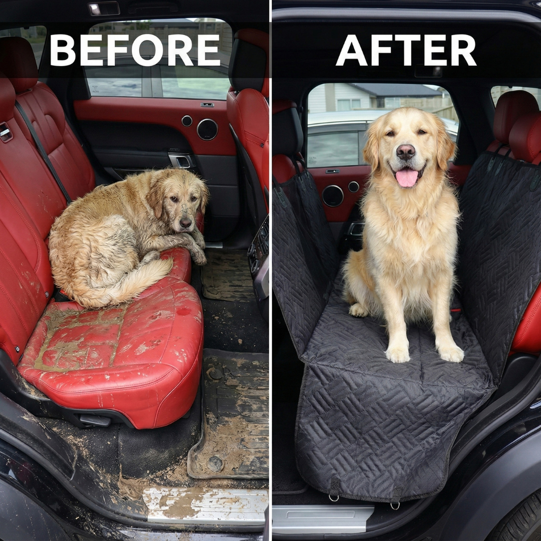 Pet Seat Cover Protector