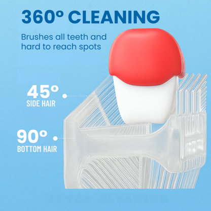 BrushBuddy