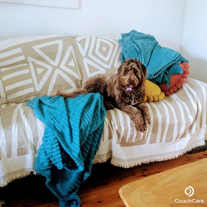 Furniture Protector Covers