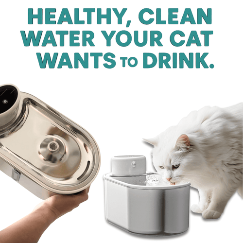 Meowtain Flow Filtered Water Bowl