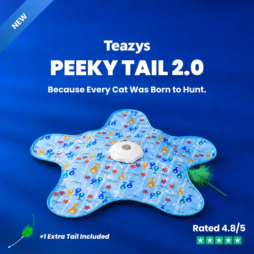 Peeky Tail 2.0 Cat Toy