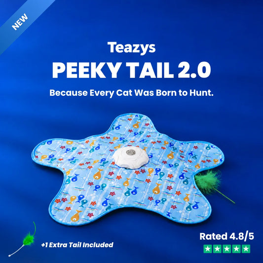 Peeky Tail 2.0 Cat Toy