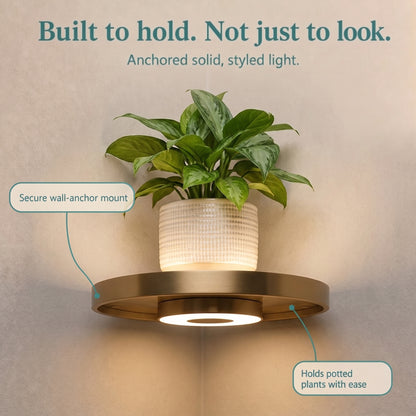 CozyGlow Plant Shelf