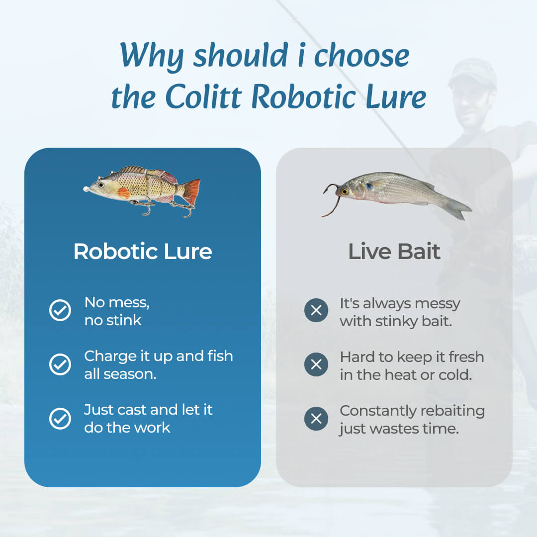 RealSwim Robo Lure | GET 1 FREE