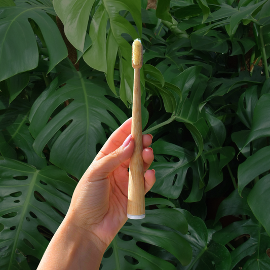 BristleRoot Toothbrush Set
