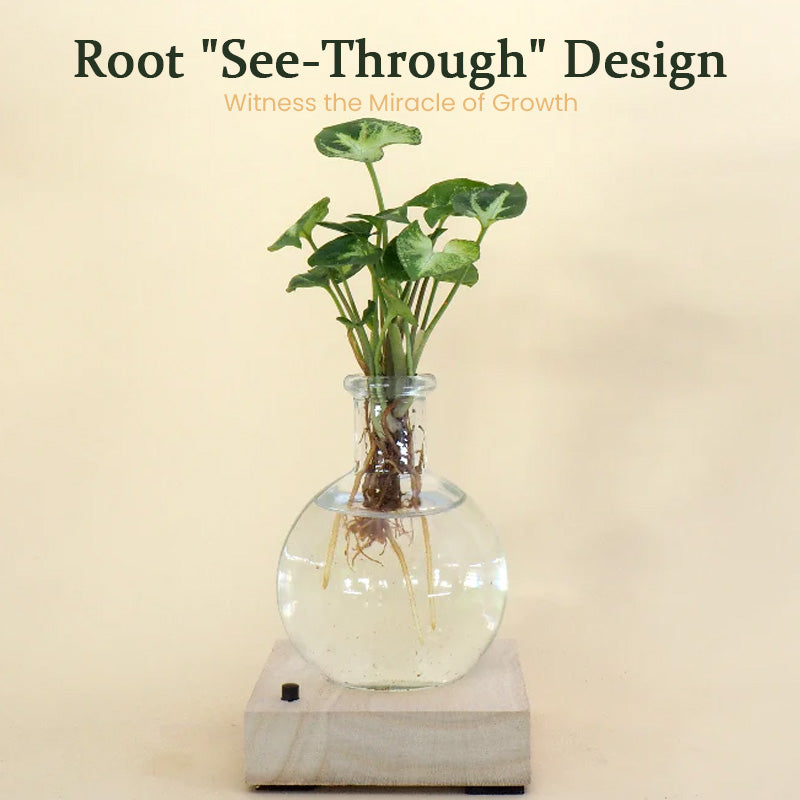 GlowRoot