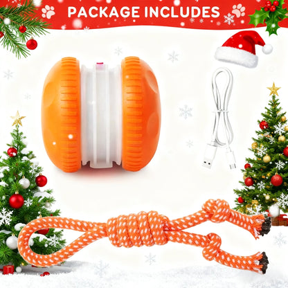 PupChase Smart Ball