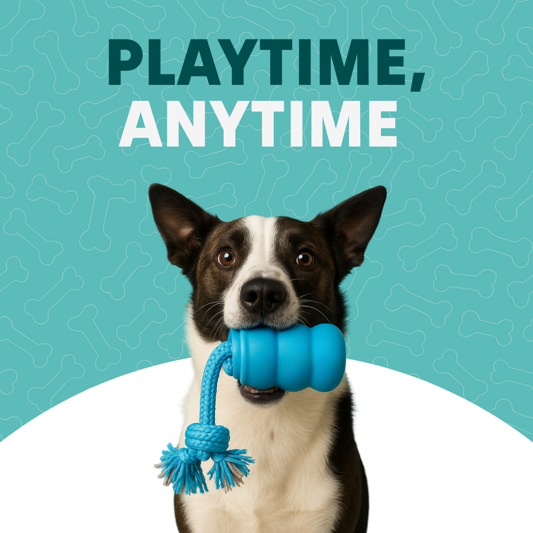 PupMotion Stimulating Dog Toy