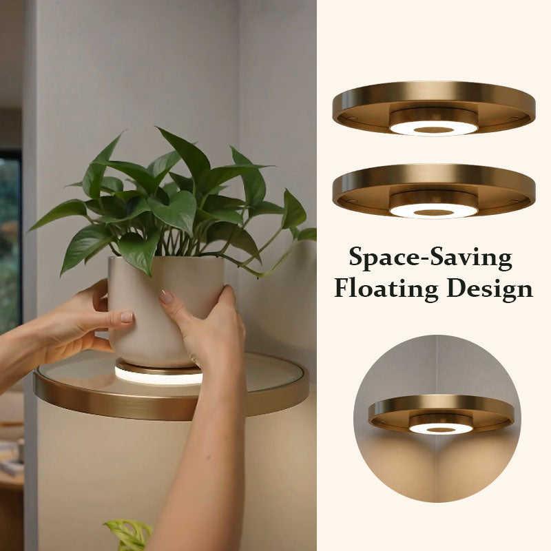 Floating Plant Shelf with LED Light
