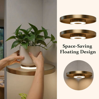 Floating Plant Shelf with LED Light