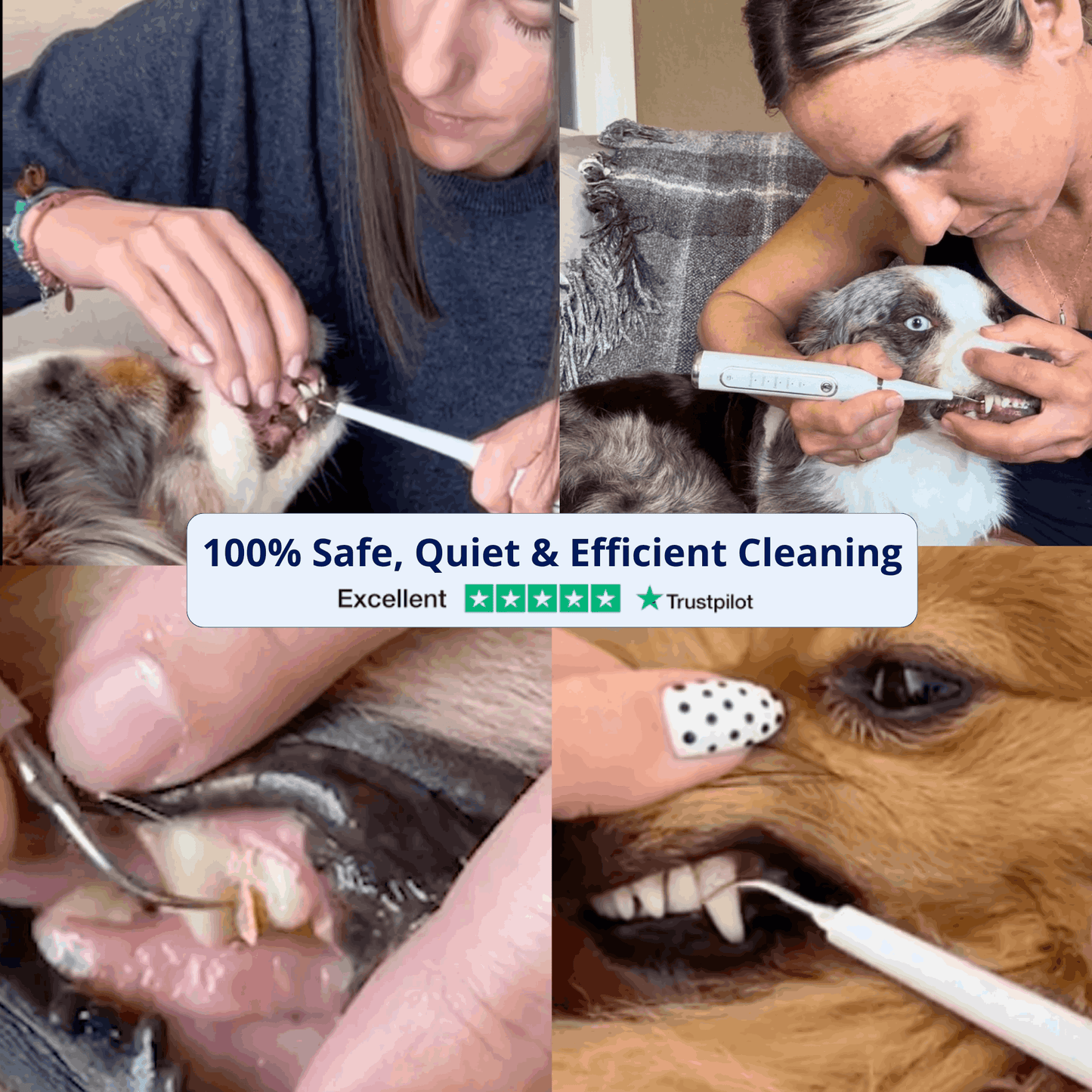 CaniVet Silent Plaque Remover