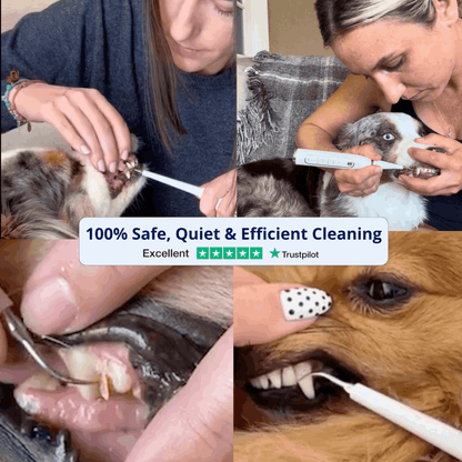 CaniVet Silent Plaque Remover