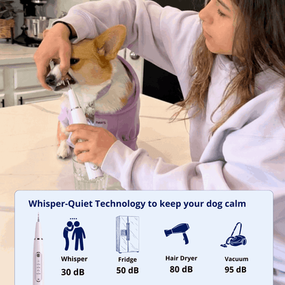 CaniVet Silent Plaque Remover