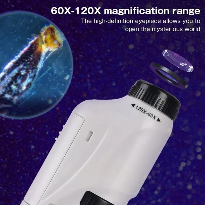 MiniScope Explorer