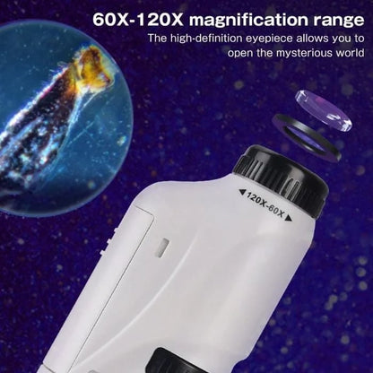 MiniScope Explorer