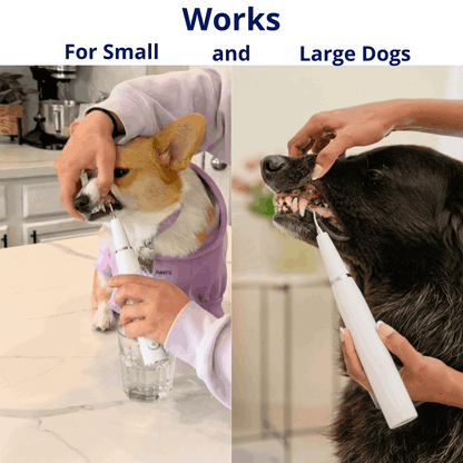 CaniVet Silent Plaque Remover