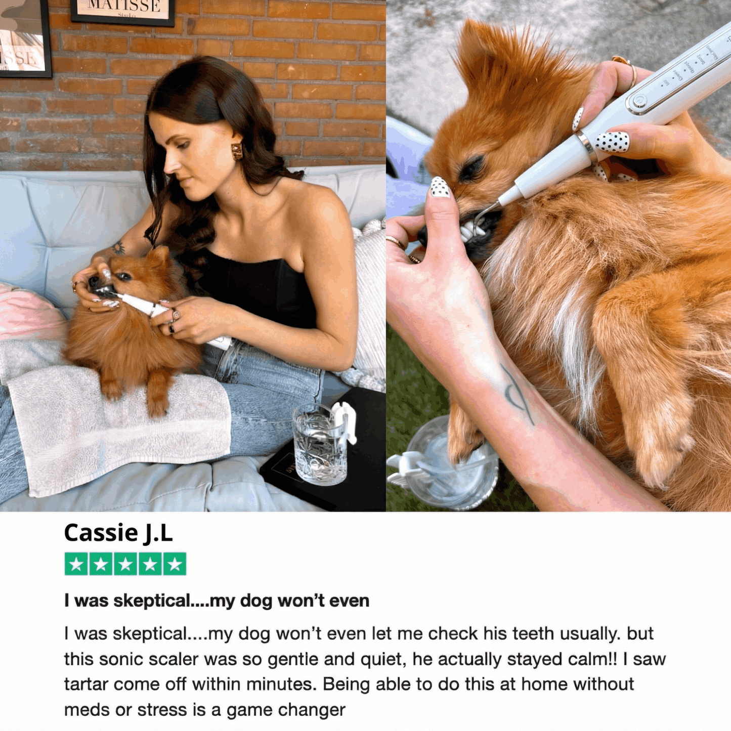 CaniVet Silent Plaque Remover