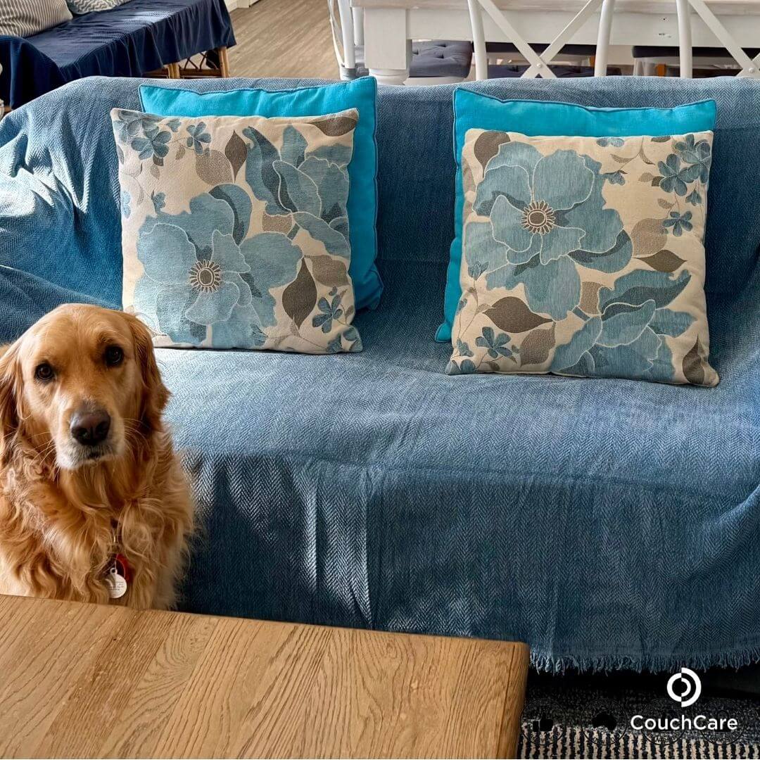 Furniture Protector Covers