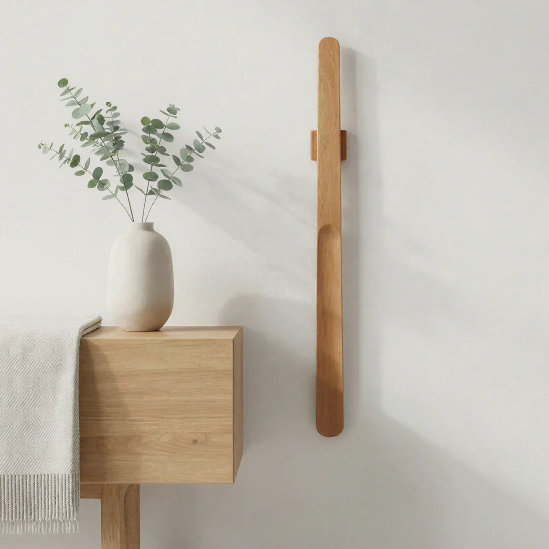 Magnetic Shoehorn