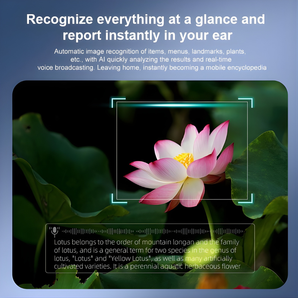 VisionMind AI Glasses