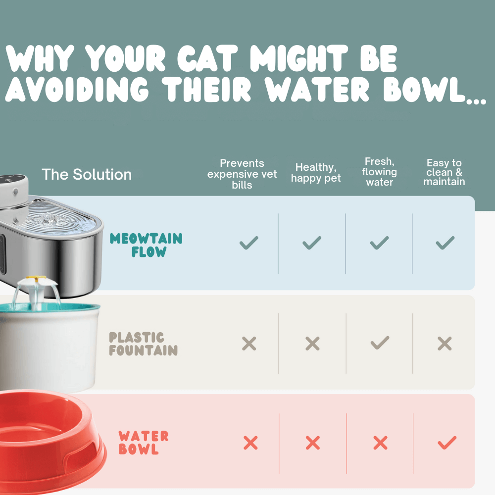 Meowtain Flow Filtered Water Bowl