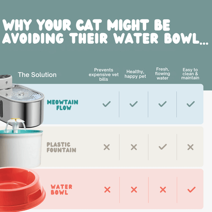 Meowtain Flow Filtered Water Bowl