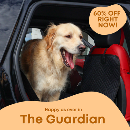 Pet Seat Cover Protector