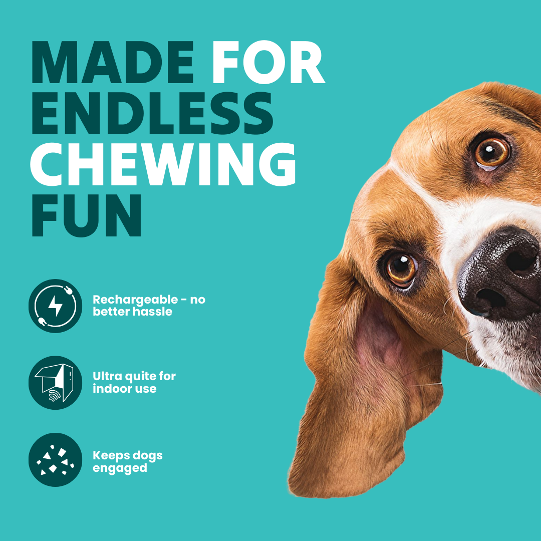PupMotion Stimulating Dog Toy