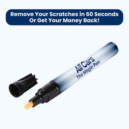 PaintFix Pen