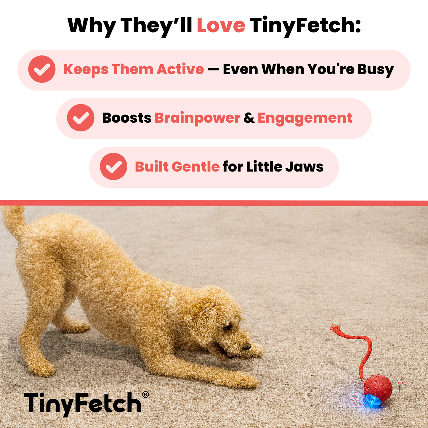 TinyFetch Automatic Fetch Toy