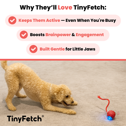 TinyFetch Automatic Fetch Toy