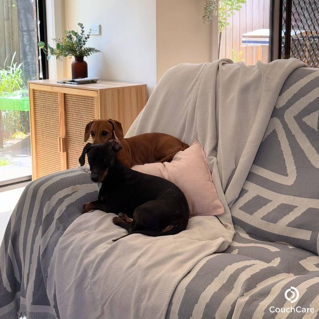 Furniture Protector Covers