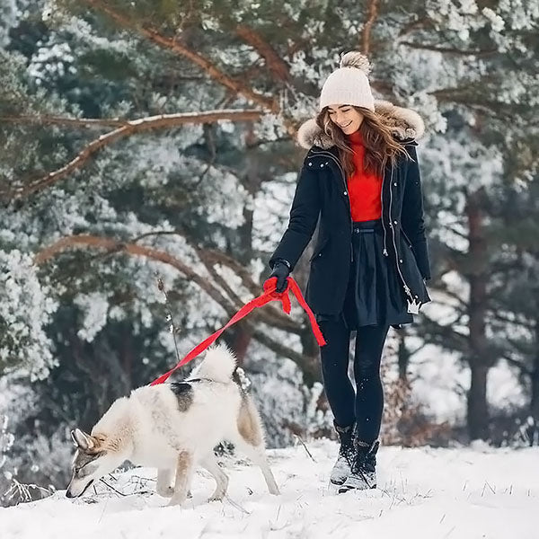 ComfyContour Leggings