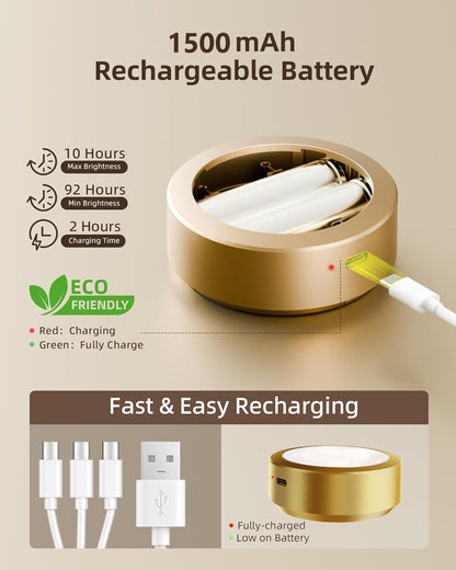 IllumiArt - Mounted Highlight Lamp