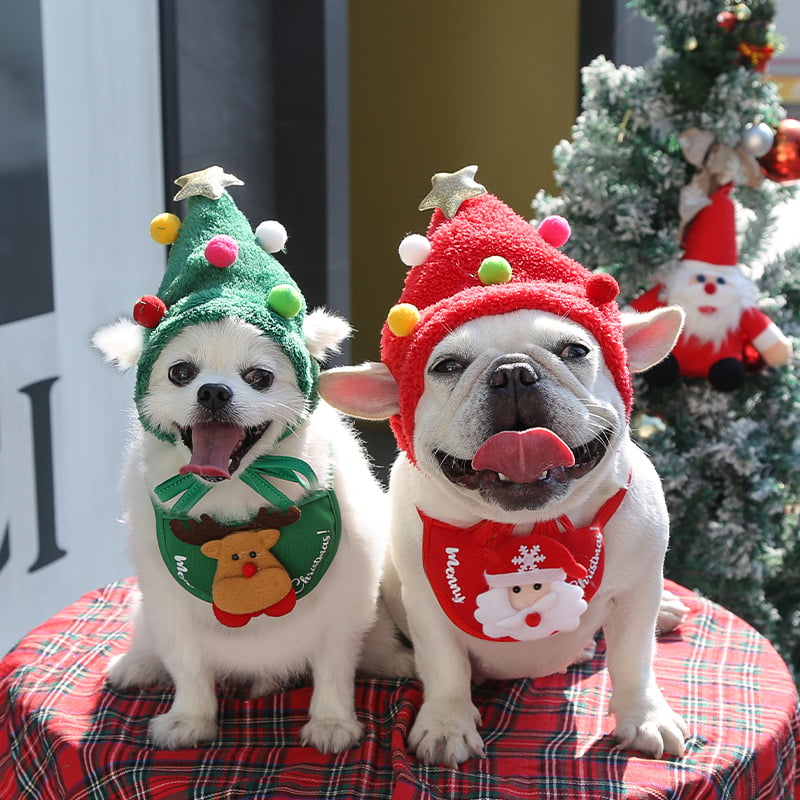 MerryPaws Holiday Hat + Bib Set