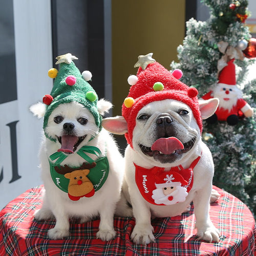 MerryPaws Holiday Hat + Bib Set