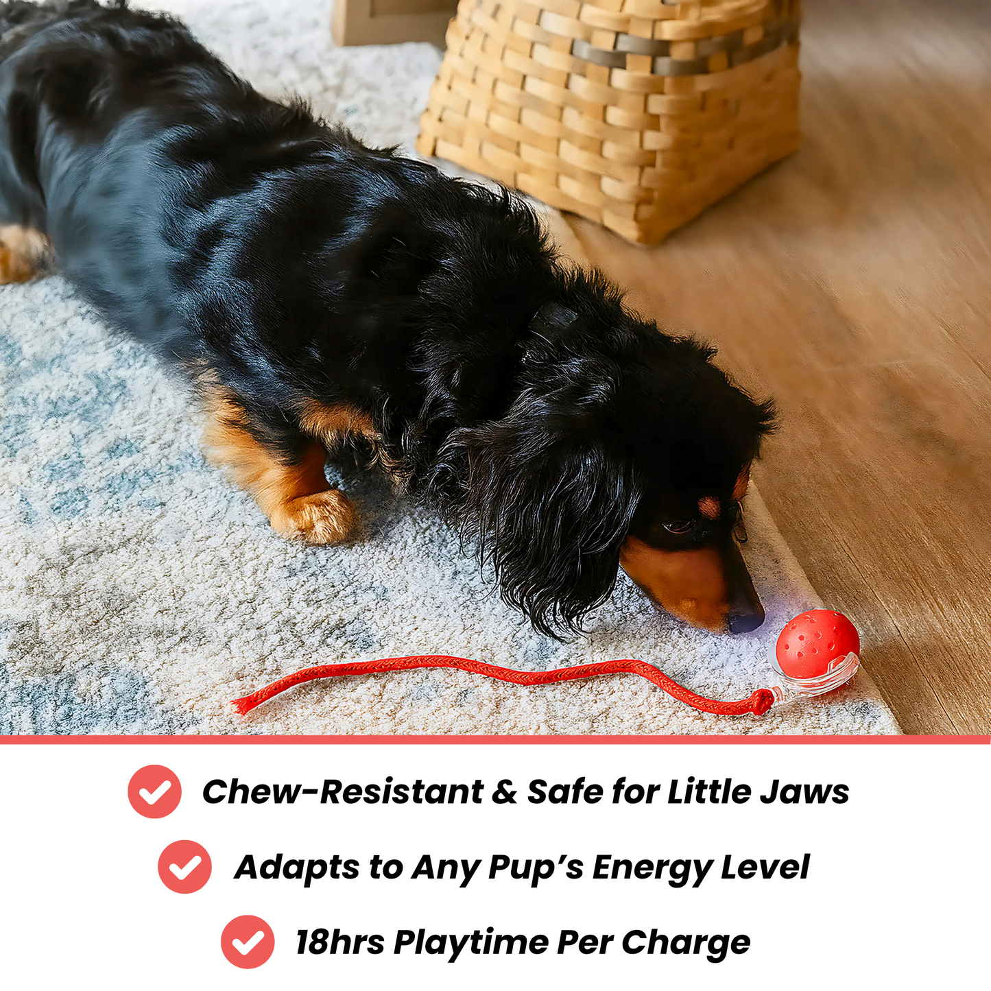TinyFetch Automatic Fetch Toy