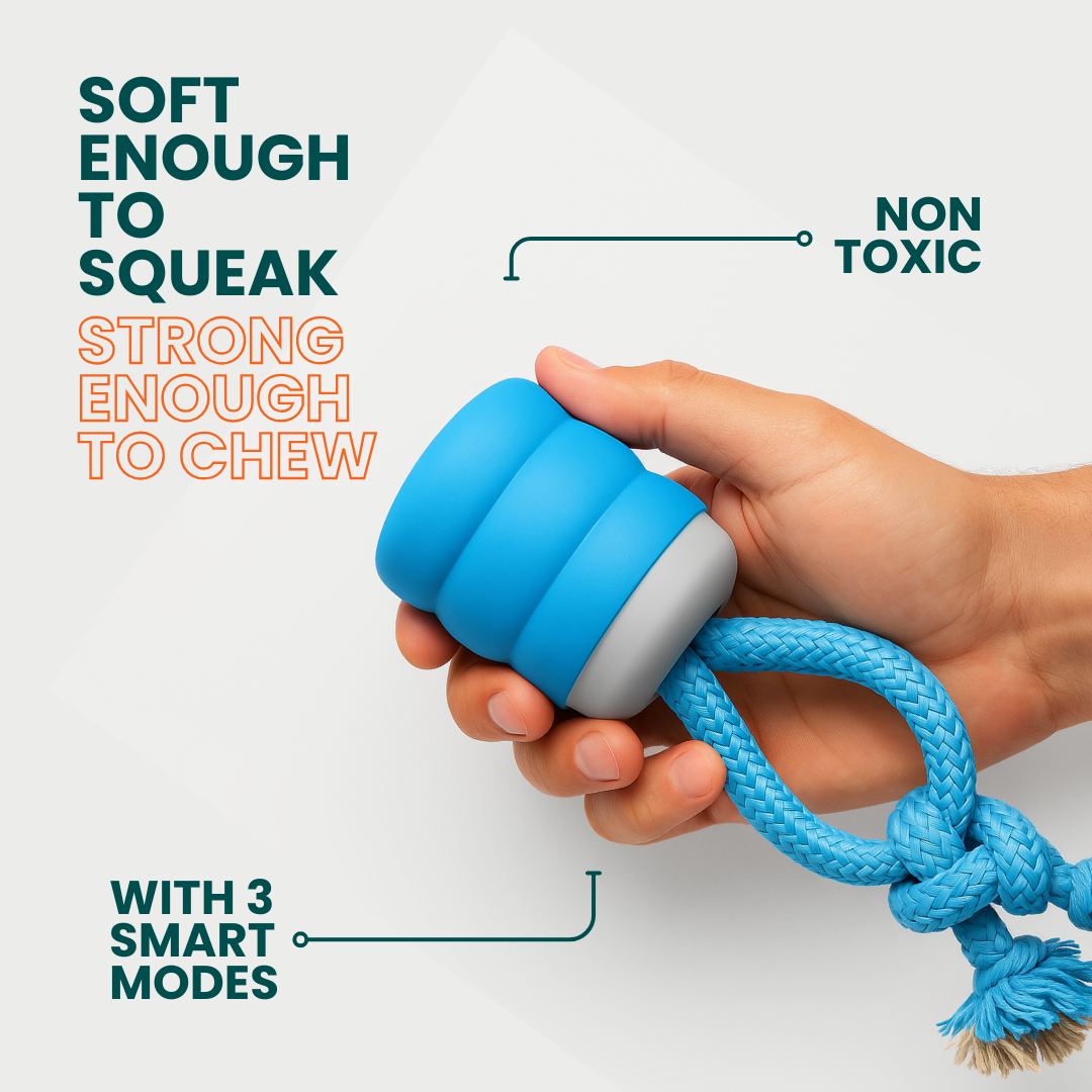 PupMotion Stimulating Dog Toy