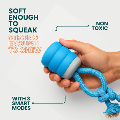 PupMotion Stimulating Dog Toy
