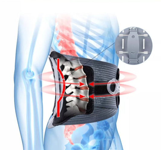 FreeMove Back Support Belt